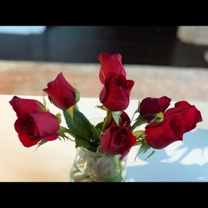 Meet your Posher, Shirin